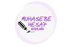 Sağlık Bakanlığı Muhasebe Hesap Kodları Nelerdir?