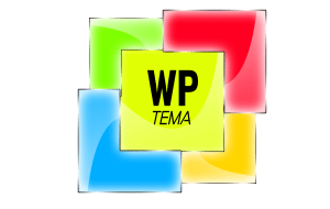 WordPress Video Teması