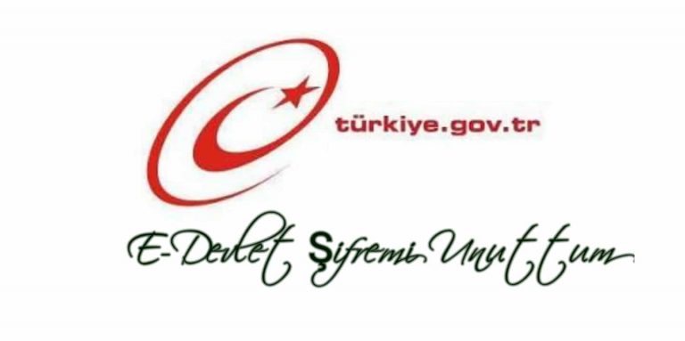 E-Devlet Şifresi Alma:Şifremi Unuttum Nasıl Alırım?