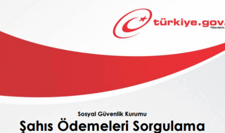 SGK Şahıs Ödemeleri Sorgulamaları Nasıl Yapılır?