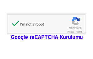 WordPress Google reCAPTCHA Kurulumu Eklentisiz