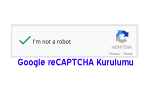 WordPress Google reCAPTCHA Kurulumu Eklentisiz